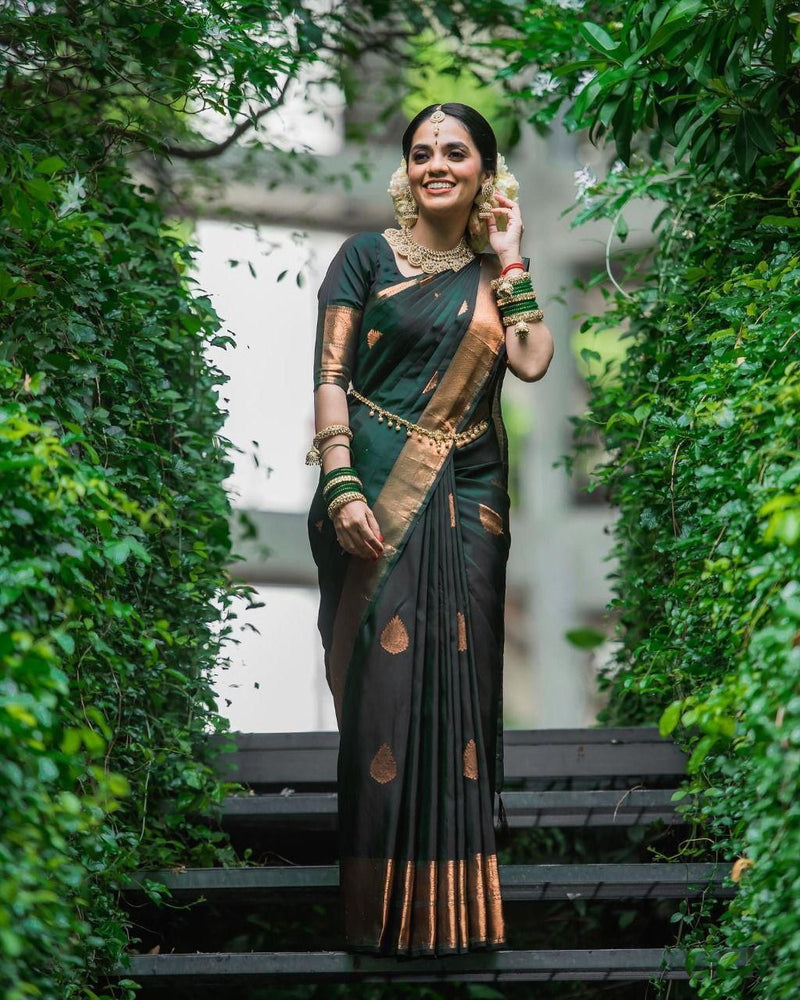 Basil Green Banarasi Silk Saree