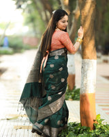 Vritika - Green Banarasi Silk Saree with Silver Zari Motifs